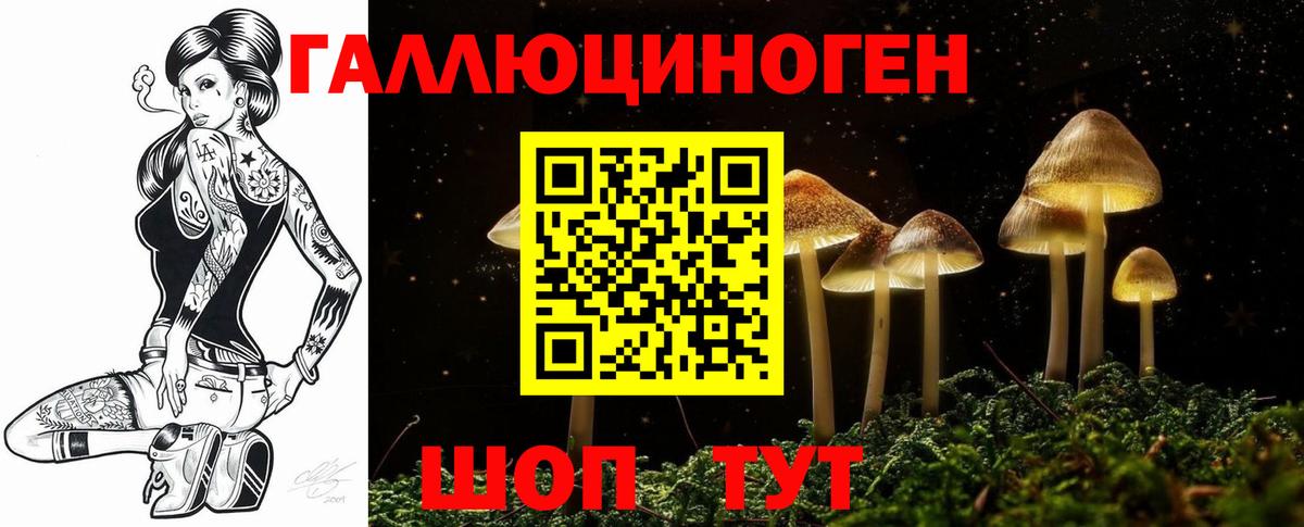 Долгопрудный  Галлюциногенные грибы Psilocybe  Галлюциногенные грибы ЛСД  Вход с VPN 