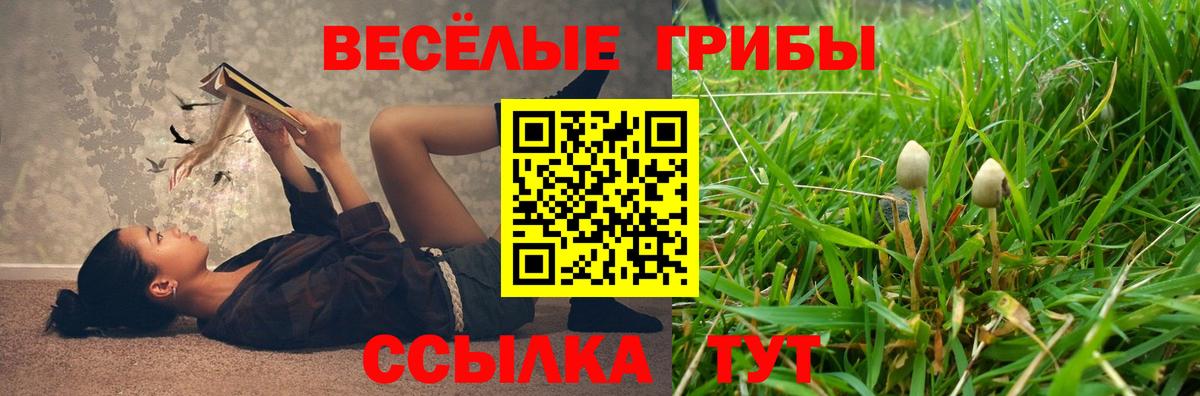 Псилоцибиновые грибы MAGIC MUSHROOMS Долгопрудный